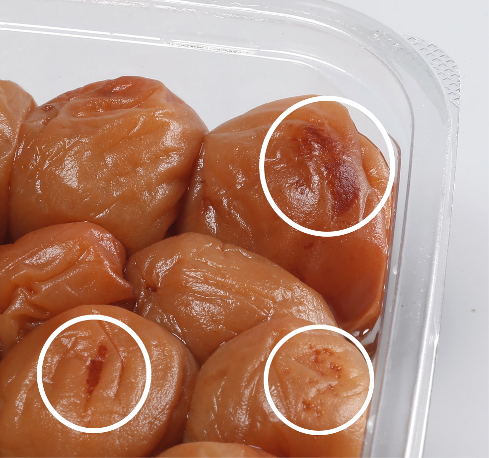 雹被害による梅の傷