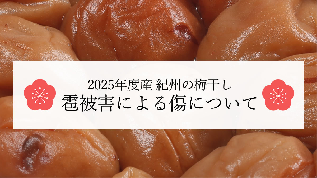 凶作による梅の傷について