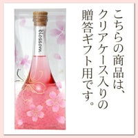 さくら梅酒 blossom