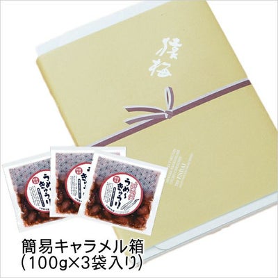 うめ～きゅうり しば漬け風味（100g×3袋）手土産用