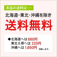 北海道・東北・沖縄へは送料別途