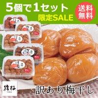 【5個で1セット限定価格】【北海道・沖縄を除き送料無料】訳ありB級梅干し（300g）
