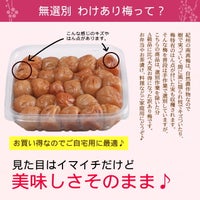 訳あり梅の説明